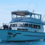 Fish Eagle Luxury Yacht Cruising